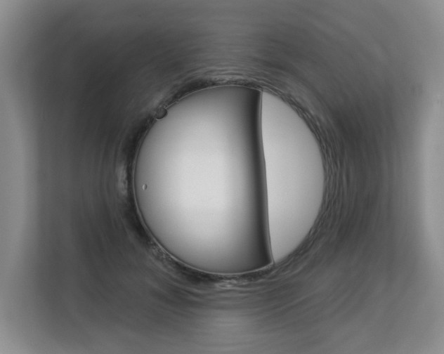 X0000112840700200908210959