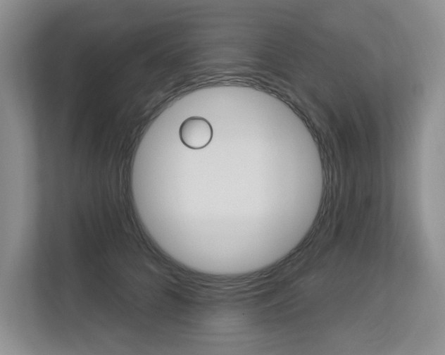 X0000112840704200908210959