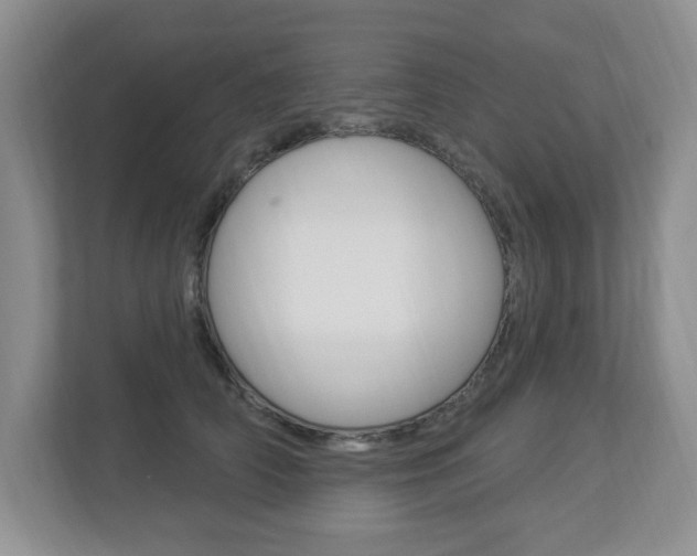 X0000112840706200908210959