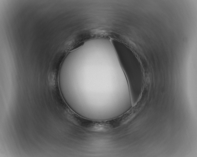 X0000112840708200908210959