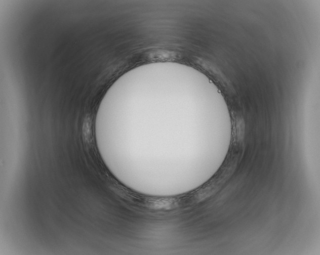 X0000112840709200908210959