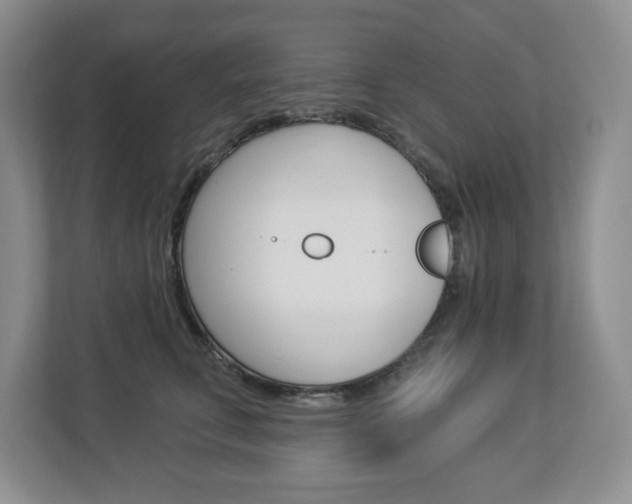 X0000112840711200908210959