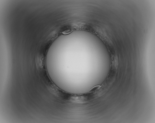 X0000112840712200908210959