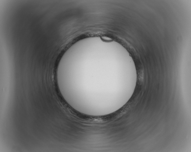 X0000112840715200908210959