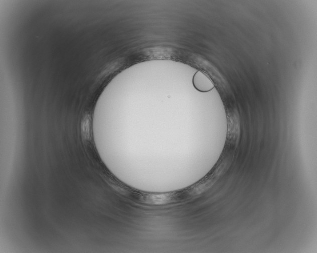 X0000112840717200908210959