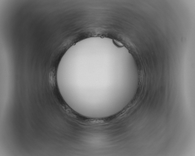 X0000112840719200908210959