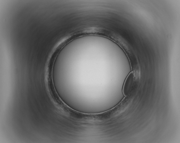 X0000112840724200908210958