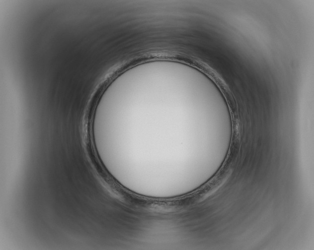 X0000112840725200908210958
