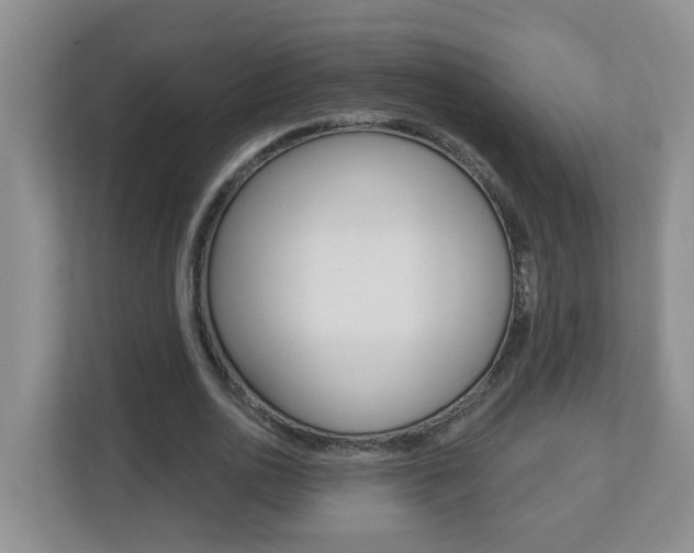 X0000112840726200908210958