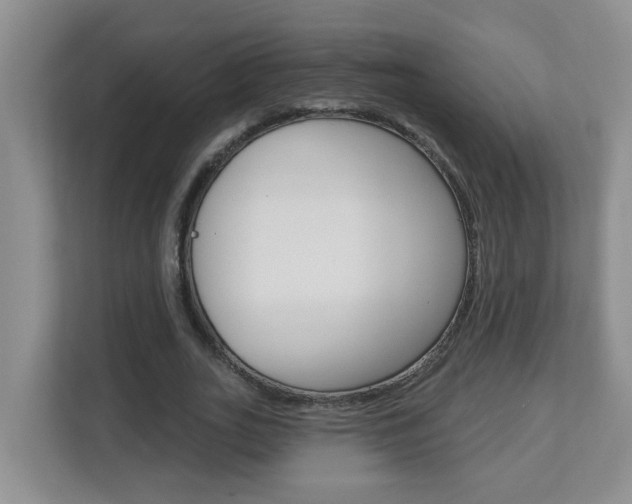 X0000112840727200908210958