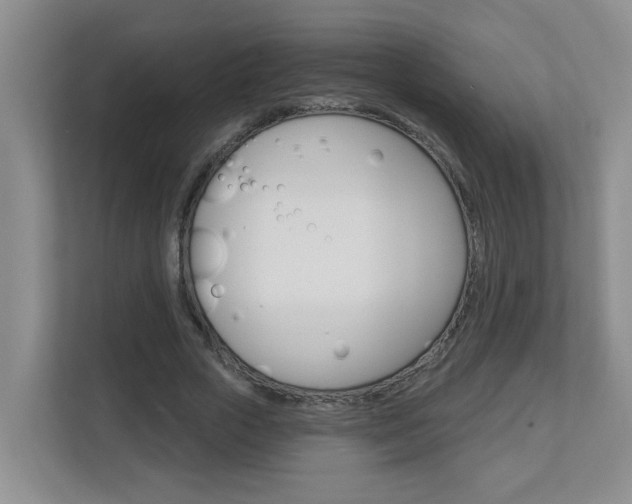 X0000112840729200908210958