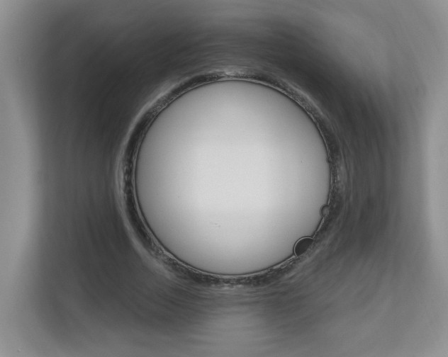 X0000112840730200908210958