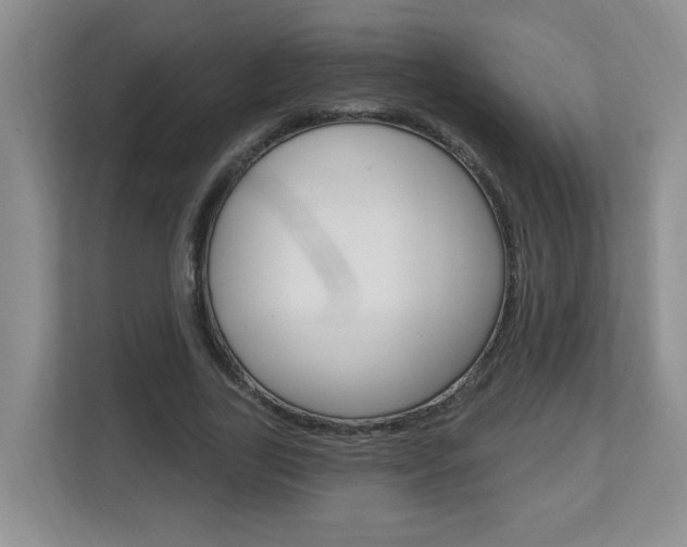 X0000112840731200908210958