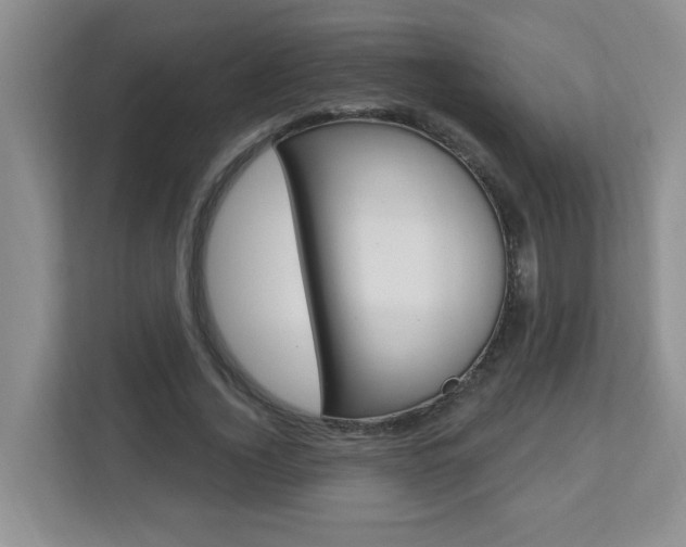 X0000112840732200908210958
