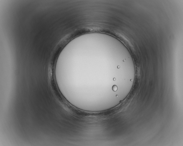 X0000112840733200908210958