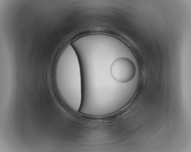 X0000112840734200908210958