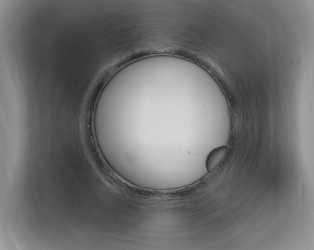 X0000112840736200908210958