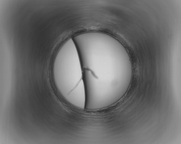 X0000112840738200908210958