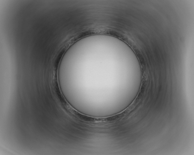 X0000112840744200908210958