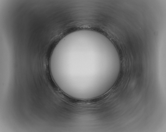 X0000112840747200908210958