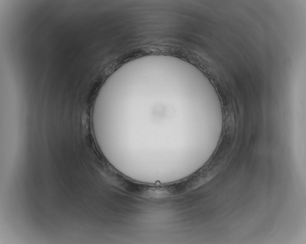 X0000112840749200908210958