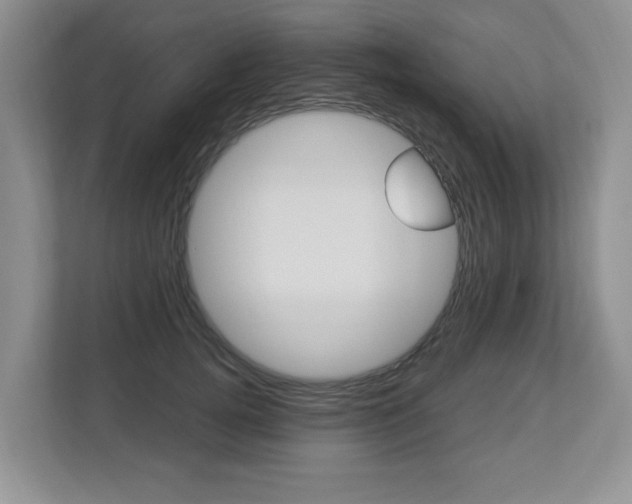 X0000112840752200908210958