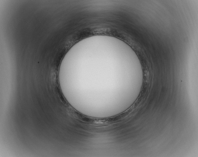 X0000112840753200908210958