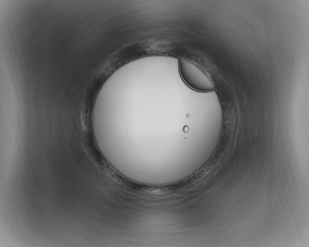 X0000112840755200908210958