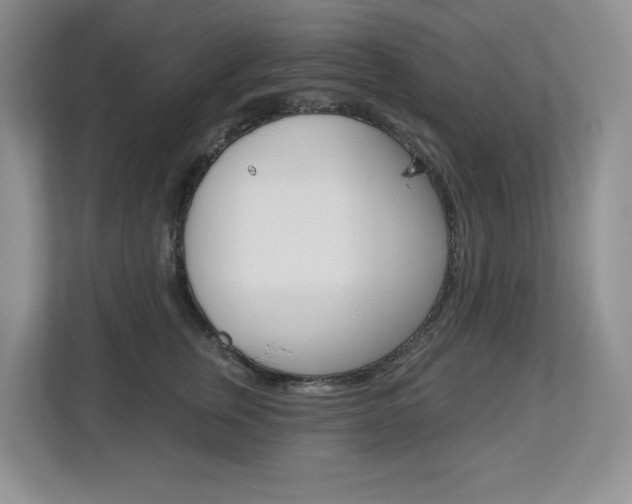 X0000112840759200908210958