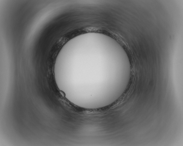 X0000112840763200908210958