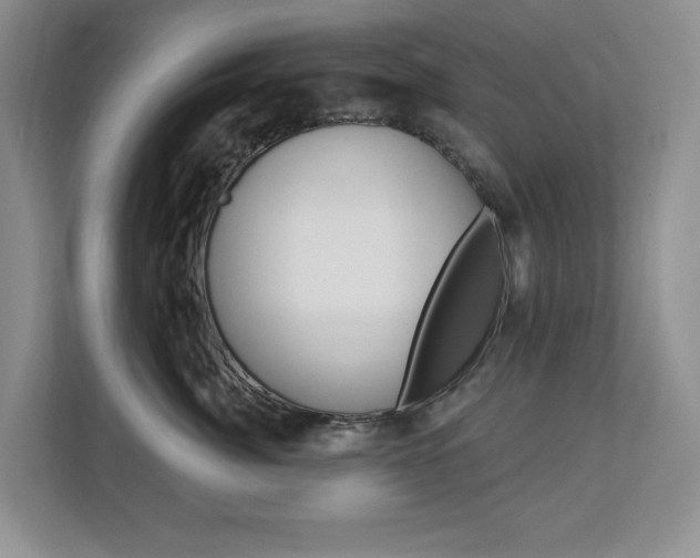 X0000112840764200908210958