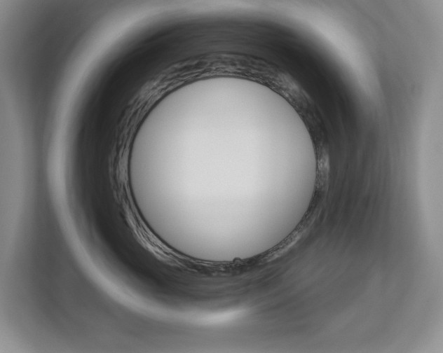 X0000112840765200908210959