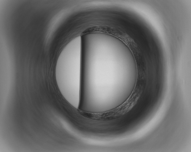 X0000112840766200908210959