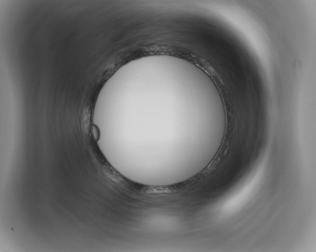 X0000112840767200908210959