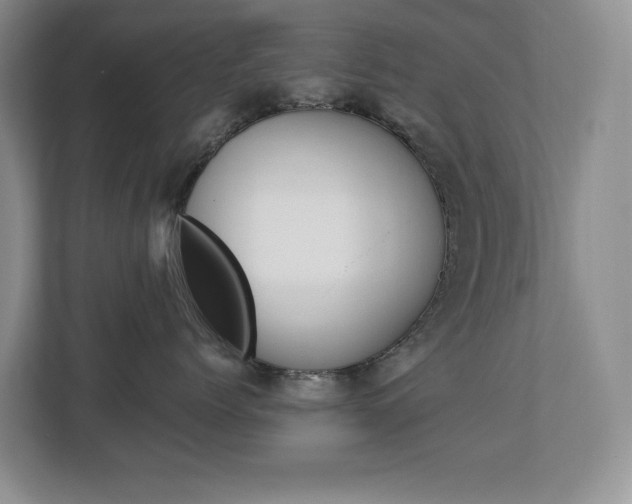 X0000112840768200908210959