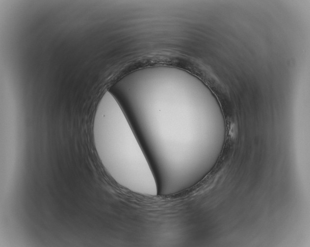 X0000112840771200908210958