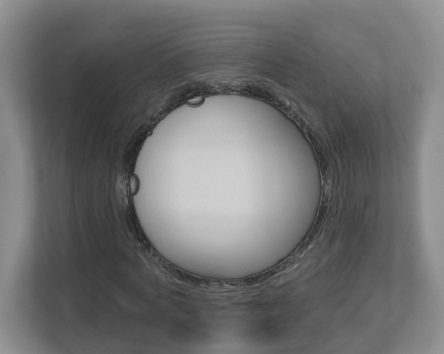 X0000112840772200908210958