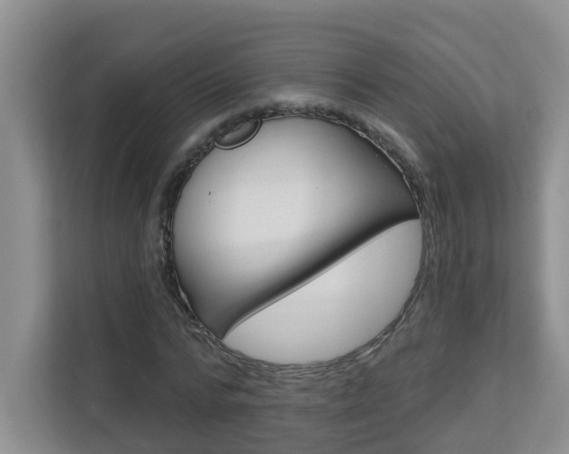 X0000112840776200908210958