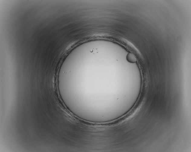 X0000112840777200908210958
