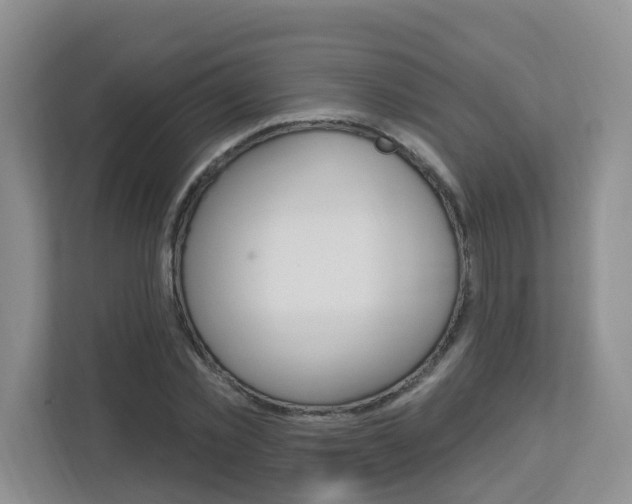 X0000112840781200908210958