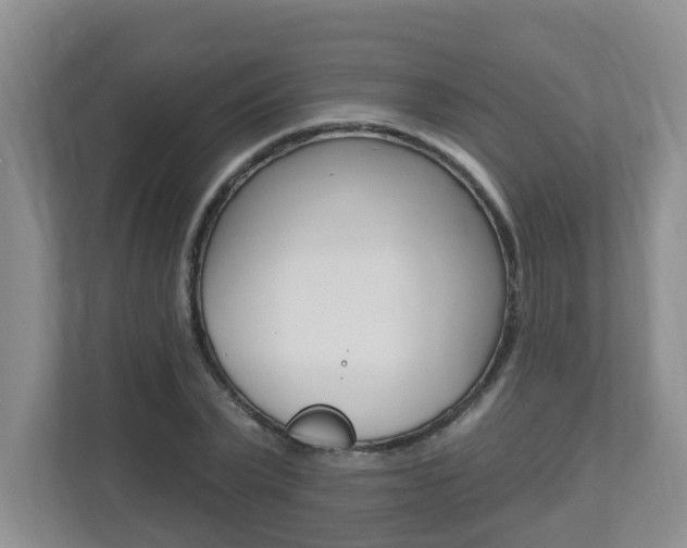 X0000112840783200908210958