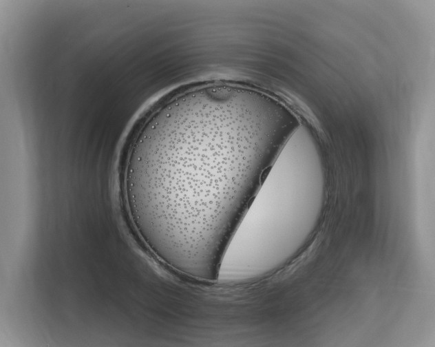 X0000112840784200908210958