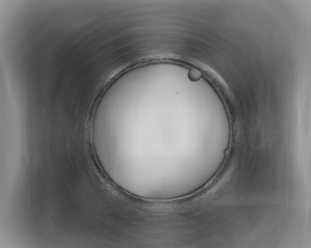 X0000112840785200908210958