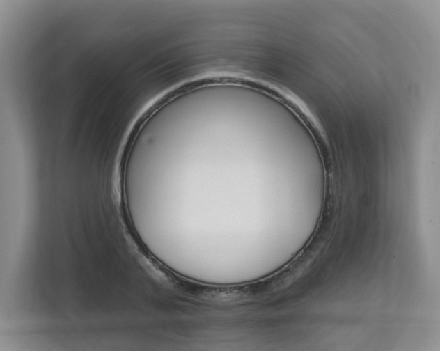 X0000112840791200908210958