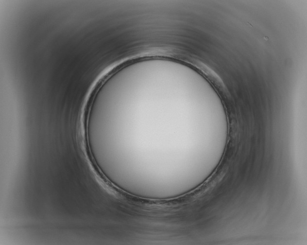 X0000112840792200908210958