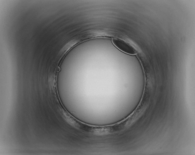 X0000112840793200908210958