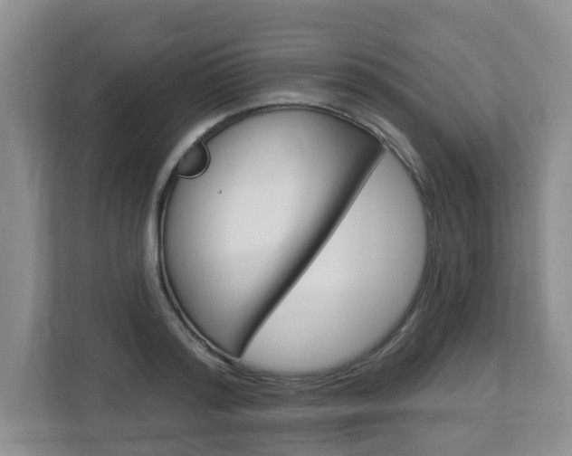 X0000112840796200908210958