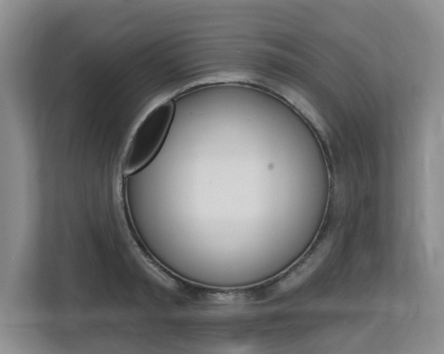 X0000112840797200908210958