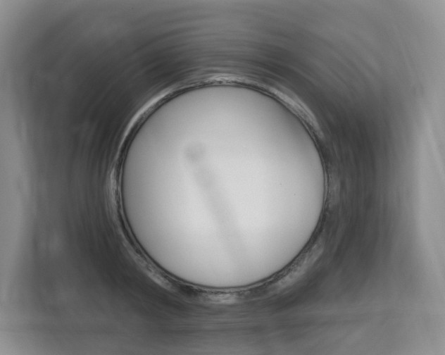 X0000112840798200908210958