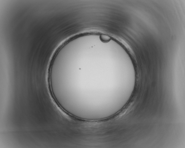 X0000112840799200908210958